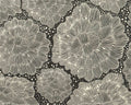 French Terry Sweatstoff FLORES DE HIELO, Eisblumen, schwarz-weiß, Bienvenido Colorido
