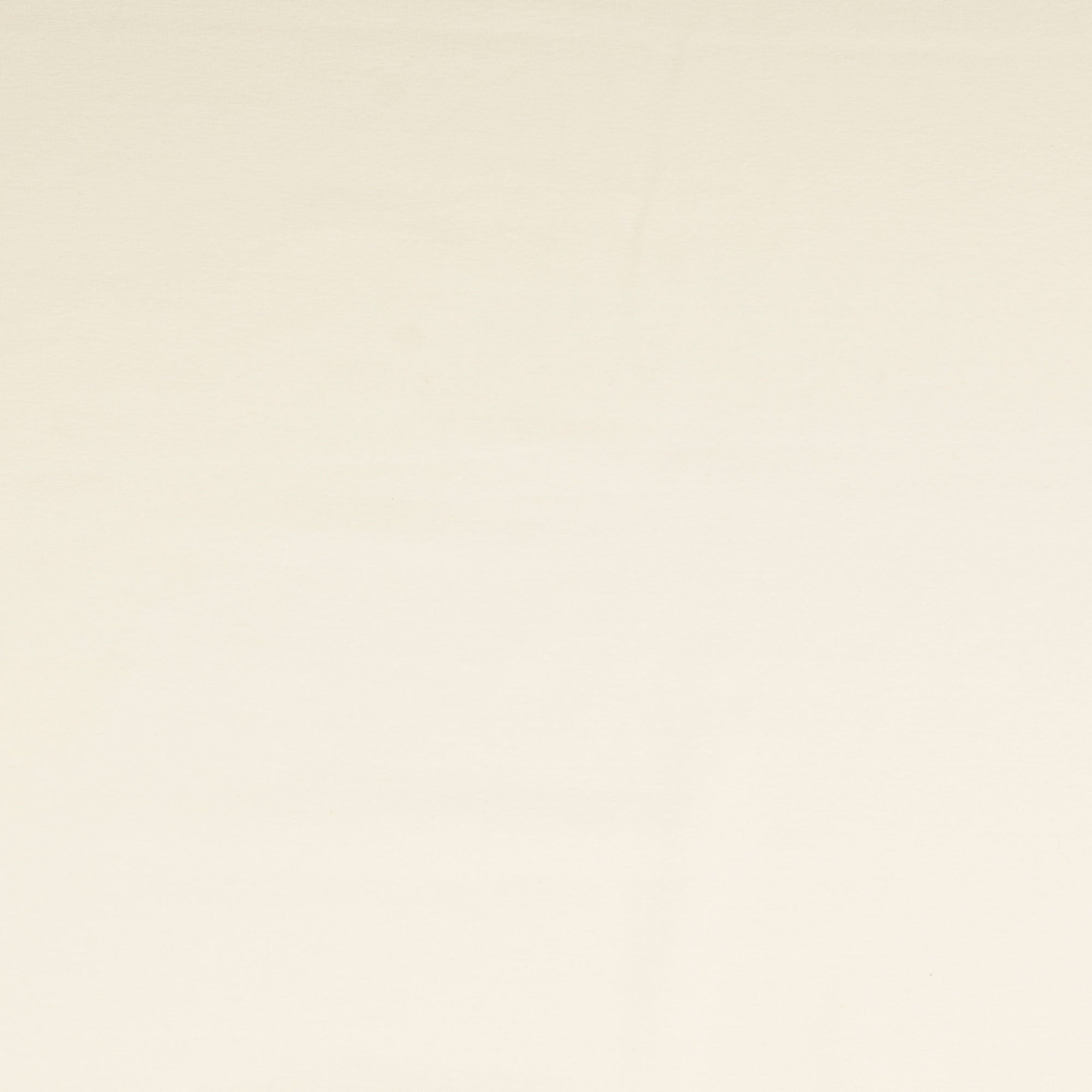 Uni Jersey wollweiss (3004)