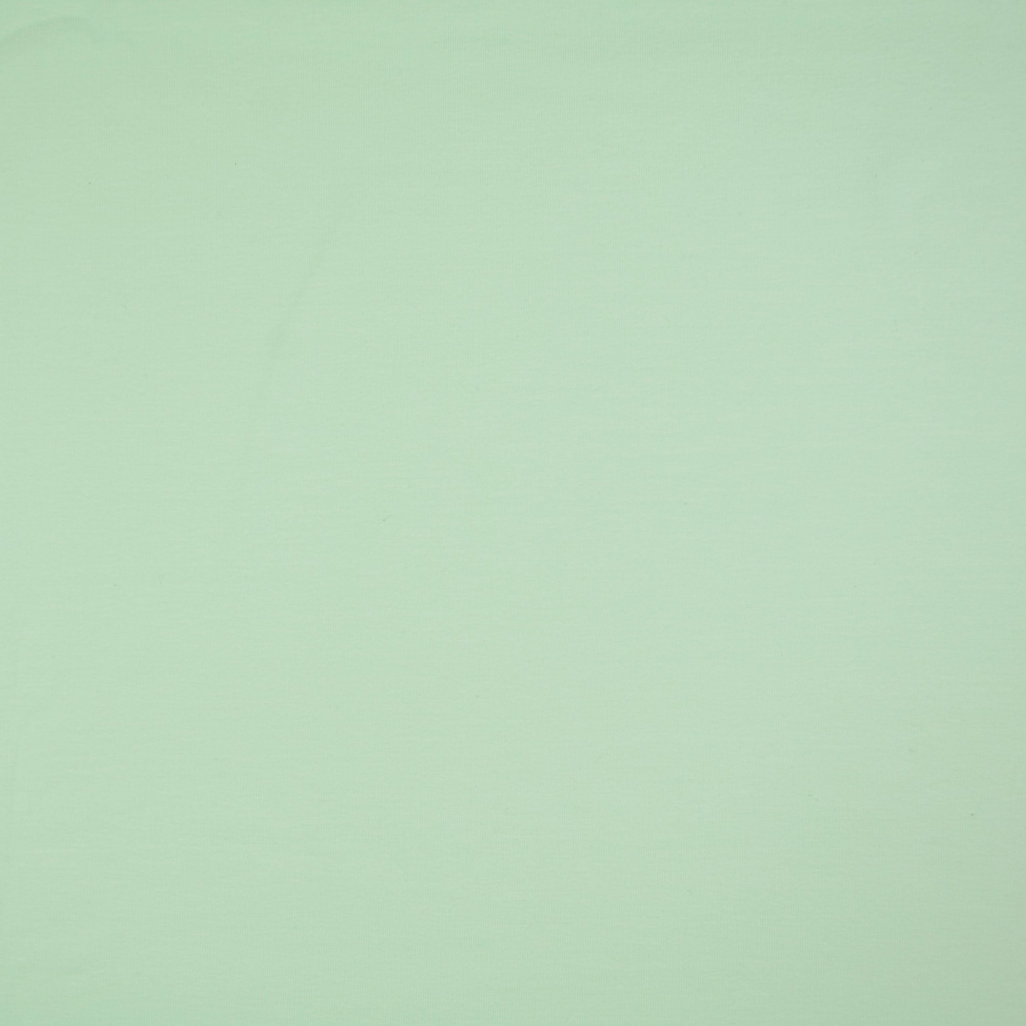 Uni Jersey mint (4036)