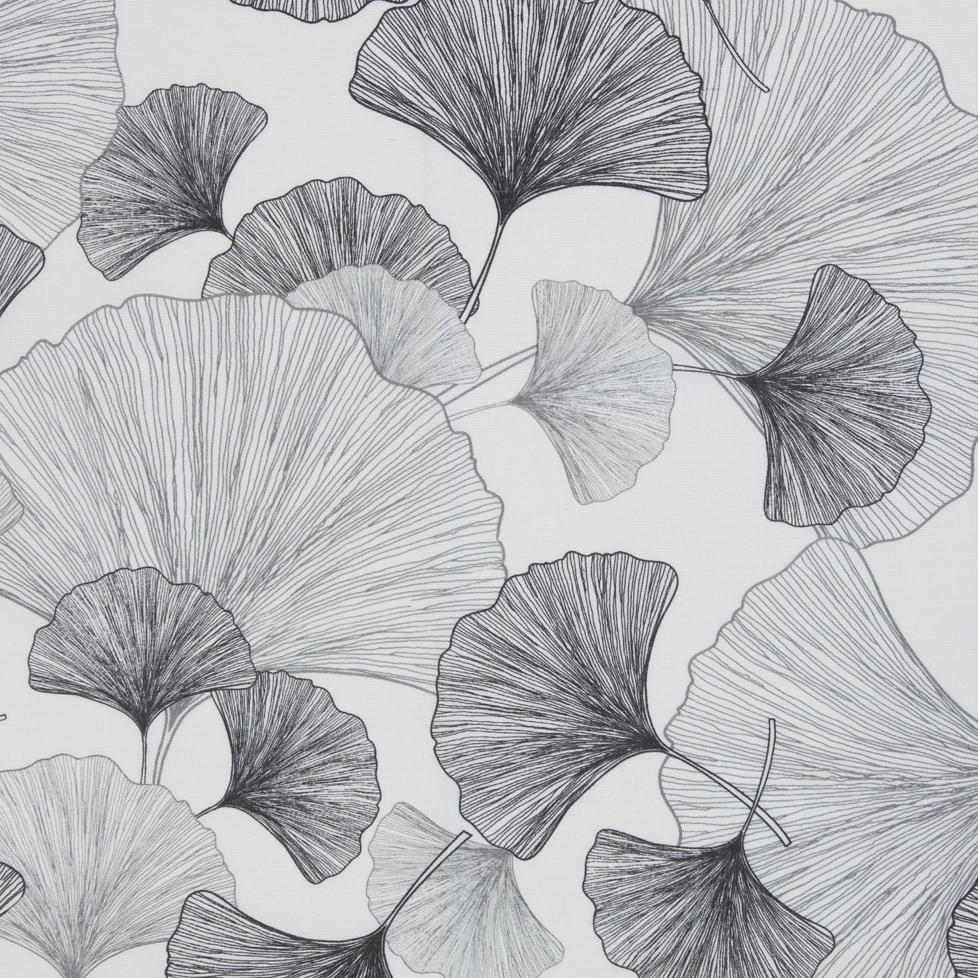 Ginkgo Dunkelgrau Beschichtete Baumwolle