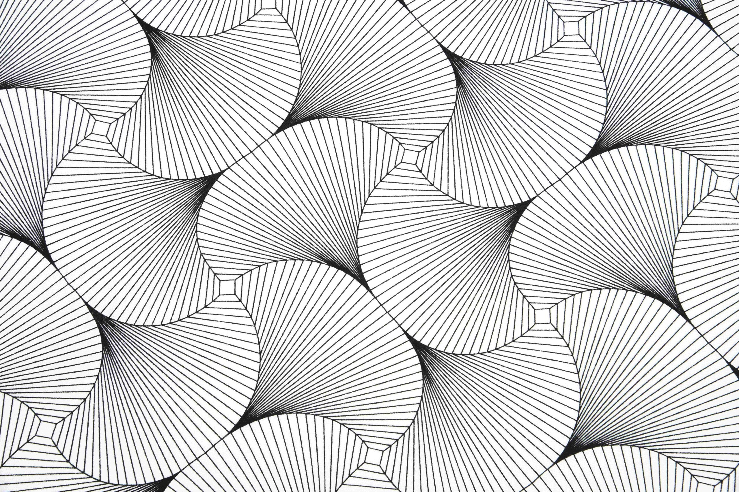 Beschichtete Baumwolle Fadengrafik schwarz weiss