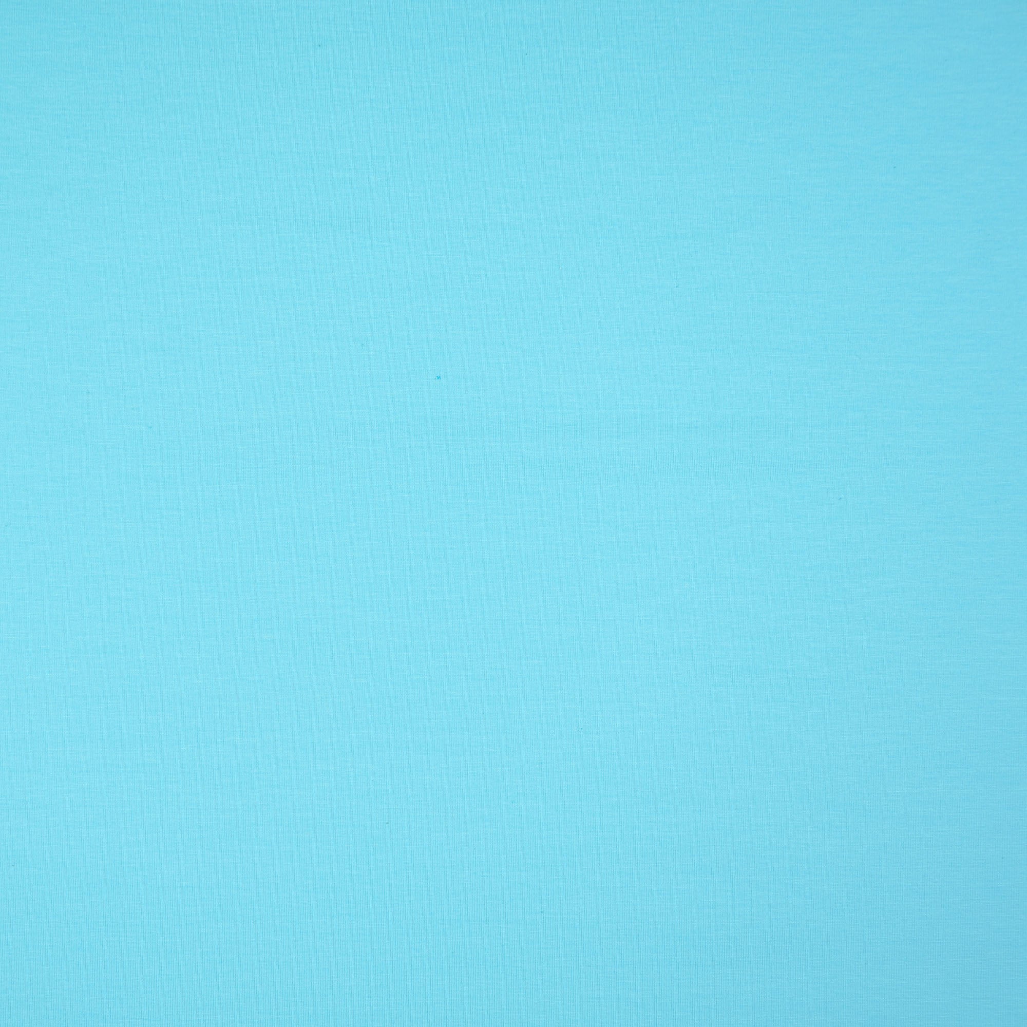 Uni Jersey mint(5030)